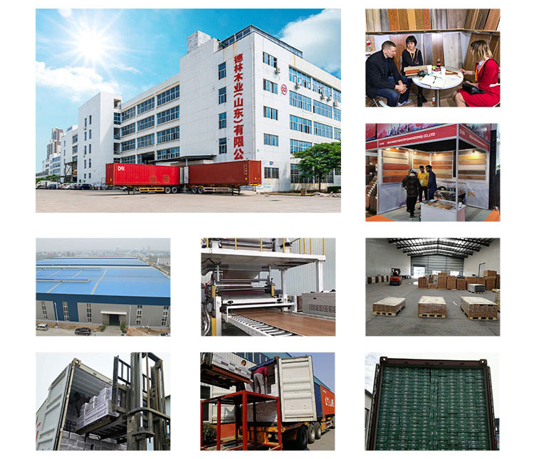 PVC Roof Sheets PVC Roof Sheets